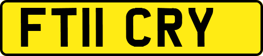 FT11CRY