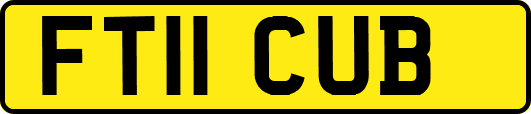 FT11CUB