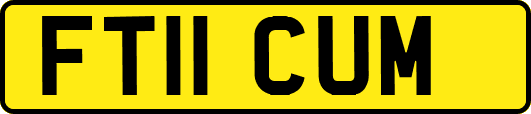 FT11CUM