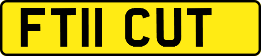 FT11CUT