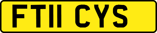 FT11CYS