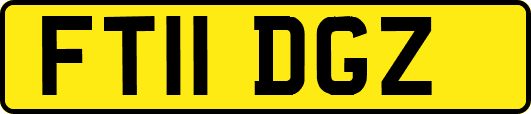 FT11DGZ