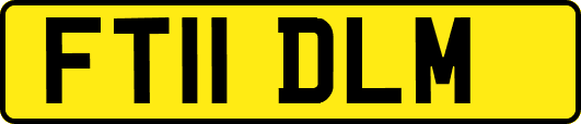 FT11DLM