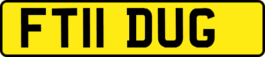 FT11DUG