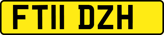 FT11DZH