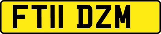 FT11DZM