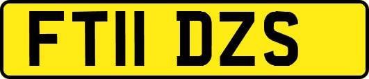 FT11DZS