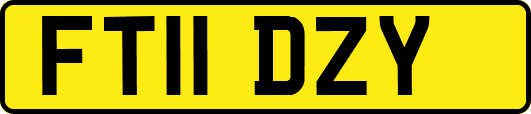 FT11DZY