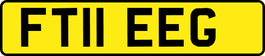 FT11EEG