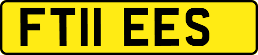 FT11EES