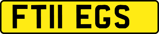 FT11EGS
