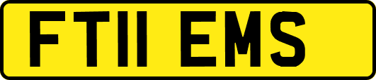 FT11EMS