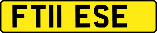FT11ESE