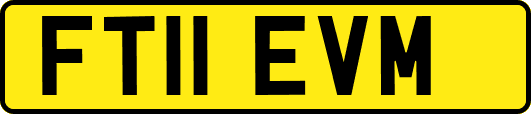 FT11EVM