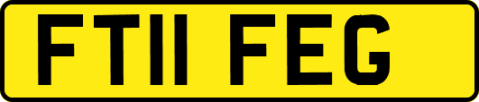 FT11FEG