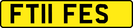 FT11FES