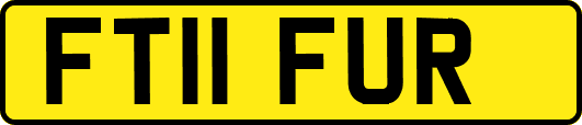 FT11FUR