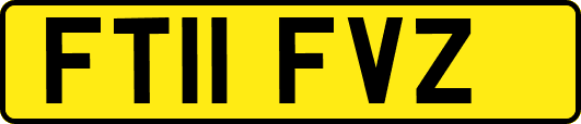 FT11FVZ