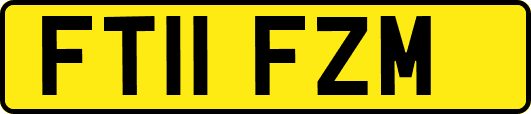 FT11FZM