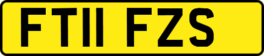 FT11FZS