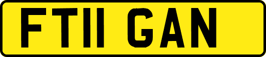 FT11GAN