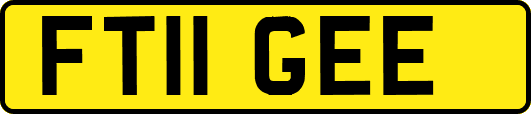 FT11GEE