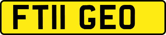 FT11GEO