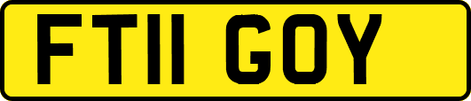 FT11GOY