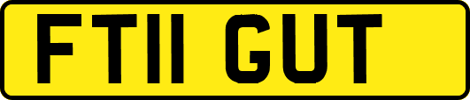 FT11GUT