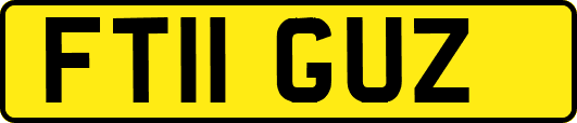 FT11GUZ