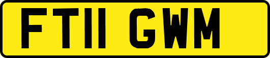 FT11GWM