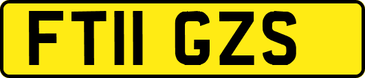 FT11GZS
