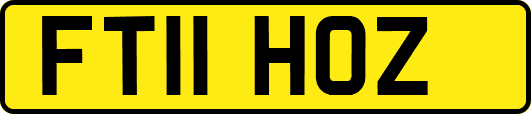 FT11HOZ