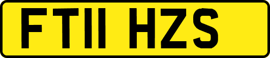 FT11HZS