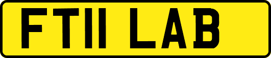 FT11LAB
