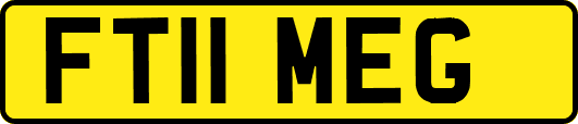 FT11MEG