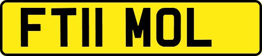 FT11MOL