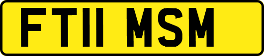 FT11MSM