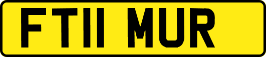 FT11MUR
