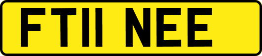 FT11NEE