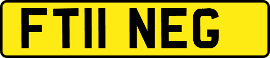 FT11NEG