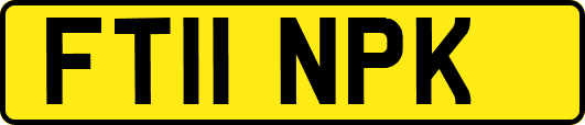 FT11NPK