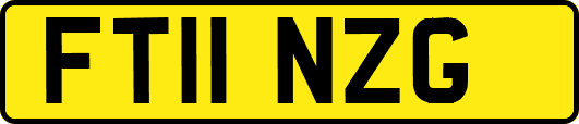 FT11NZG