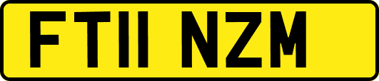 FT11NZM