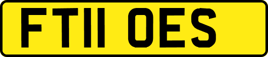 FT11OES