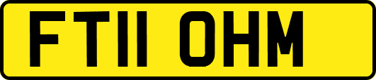 FT11OHM