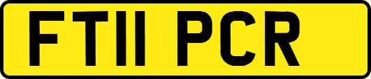 FT11PCR