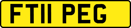 FT11PEG