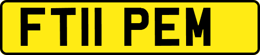FT11PEM