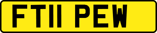 FT11PEW